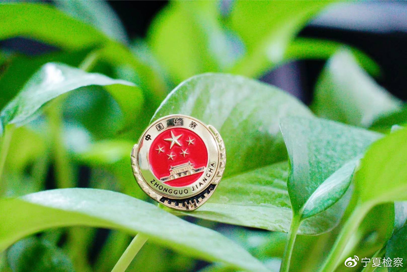 2021年度十大行政检察典型案例